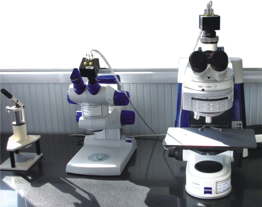 Metallurgical analyzing